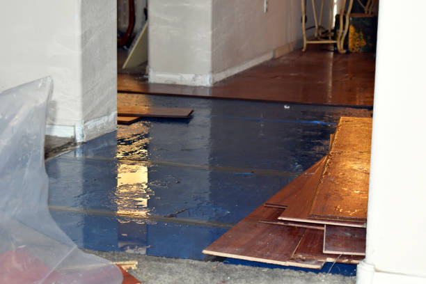 Professional Burst Pipe Cleanup technician working in Elizabethport, NJ